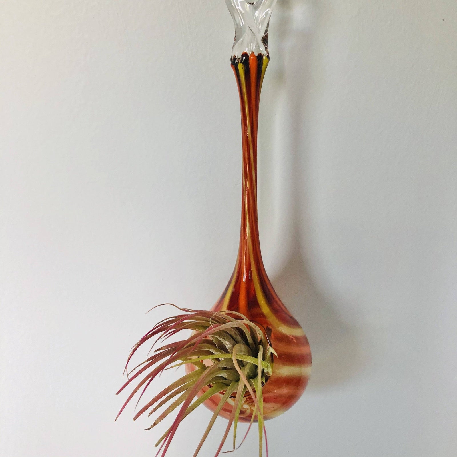 Air Plant Hanging Drop Vase 131 Luke Adams Glass Blowing Studio 