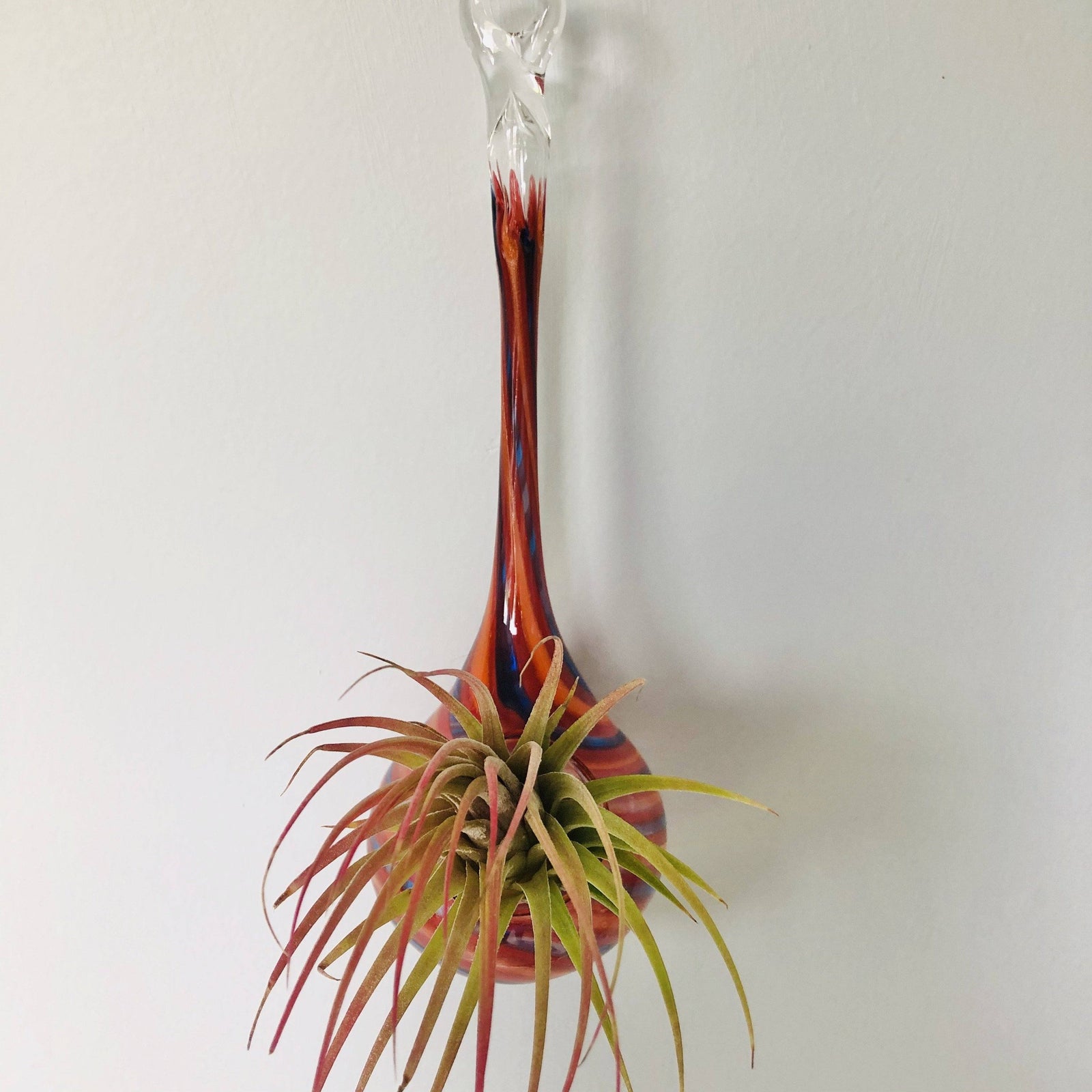 Air Plant Hanging Drop Vase 110 Luke Adams Glass Blowing Studio 