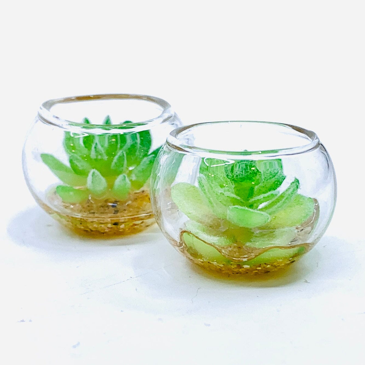 Tiny Succulent Bowl Miniature - 