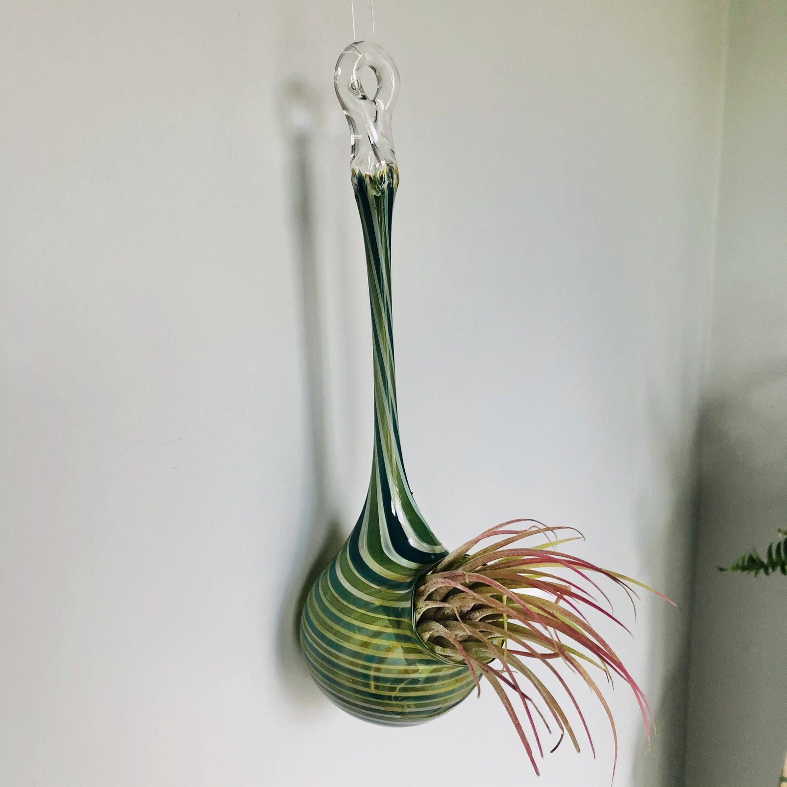 Air Plant Hanging Drop Vase 140 Luke Adams Glass Blowing Studio 