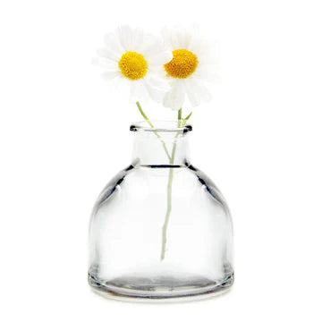 Mini Round Apothecary Glass Vase, Clear Decor Chive 